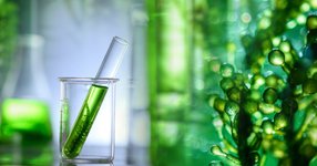 Thumbnail of Genesis Machine: Synthetic biology will allow us to program living organisms like computers