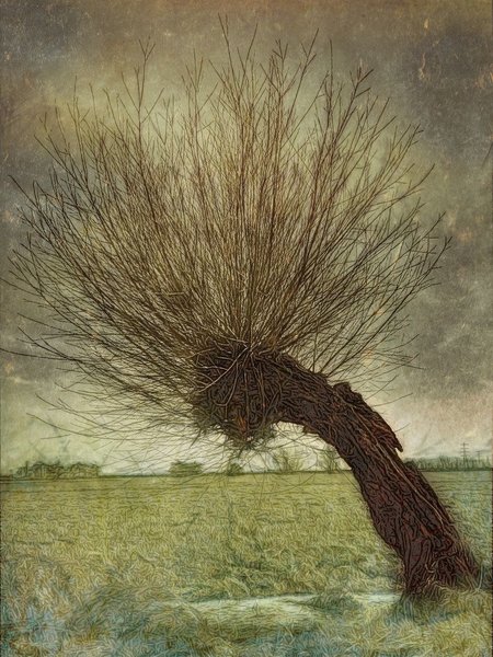 Thumbnail of Jennifer Russell