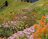 Thumbnail of The Nonsense and the Reality of Digital Gardens: Eco-Somatics in the Pixelated World