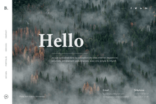 Thumbnail of blaiseposmyouck - Webflow