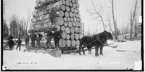 Thumbnail of Gentlemen of the Woods
