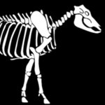 Thumbnail of Home - Bare Bones Butcher
