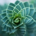 Thumbnail of Friday’s Poetic Pause: “For One Who Holds Power” by John O’Donohue – How Matters