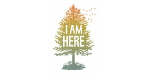 Thumbnail of The Understory: Release Week Starts Now!