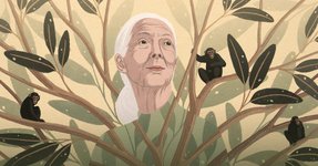 Thumbnail of Jane Goodall, in Memoriam – What It Means to Be Human