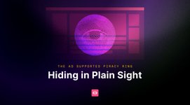 Thumbnail of Hiding in Plain Sight: The Ad-Supported Piracy Ring Driving Over a Billion Monthly Visits - deepsee.io