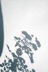 Thumbnail of The Unlived Life: Carl Jung’s Profound Insight into Parental Influence