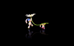 Thumbnail of Daisy Chain Studio