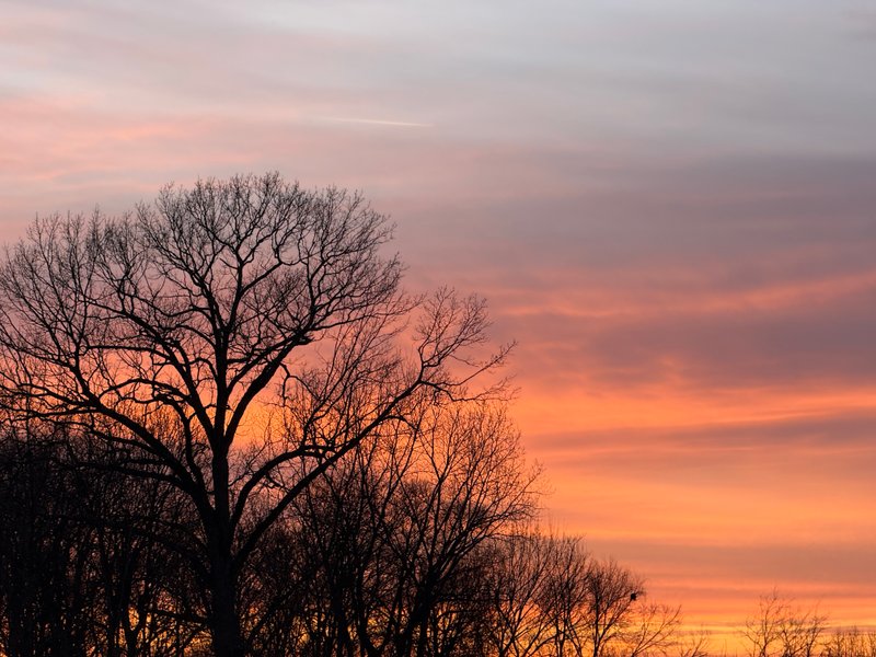 Preview of acff075ab539-jpeg