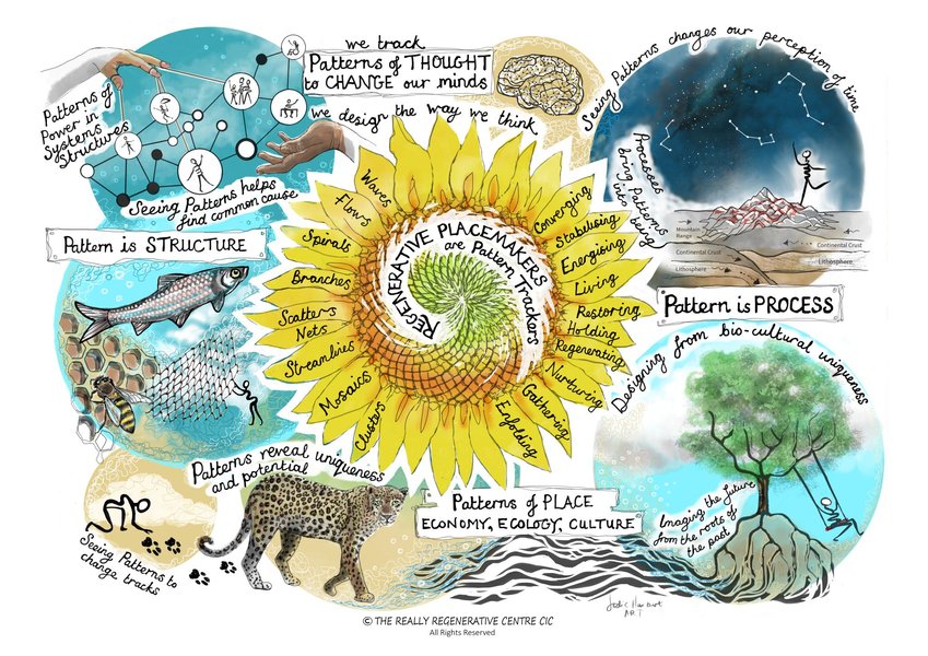 Thumbnail of Jenny Andersson on LinkedIn: In praise of pattern literacy, another key attribute of regenerative… | 32 comments