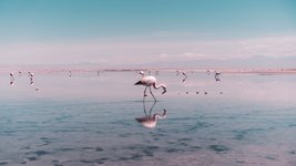 Thumbnail of The Cool List 2024: the 30 most exciting destinations to visit in 2024