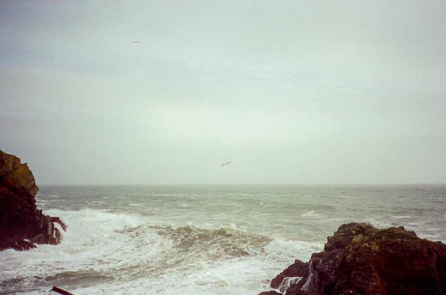 Thumbnail of Home | Substack