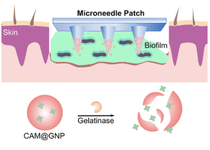 Thumbnail of Intelligent BioMedical Systems (IBMS) Lab