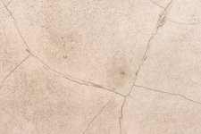 Thumbnail of Freitagsgruppe: Denkmal + Reparatur - Programm - Stiftung Bauhaus Dessau