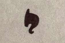 Thumbnail of Heart of Paradox