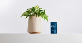Thumbnail of Neoplants - The Future of Plants