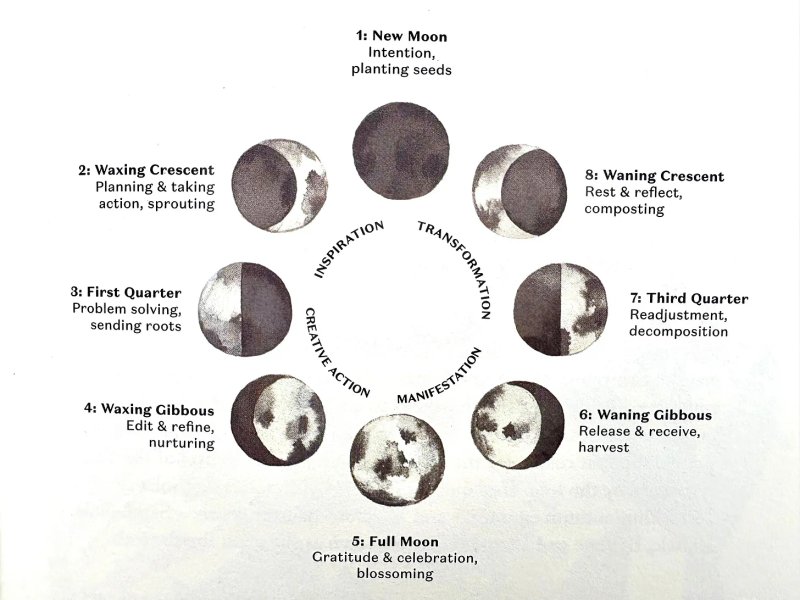 Thumbnail of Rhythmic Rituals