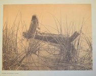 Thumbnail of Northern Pomo: Mendocino's First People