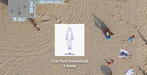 Thumbnail of The Dark Forest and the Post-Individual
