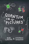 Cover of Quantum in Pictures: A New Way to Understand the Quantum World