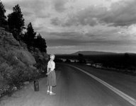 Thumbnail of Still Lives — Real Life