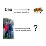 Thumbnail of Meaning and Pointing
