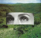 Thumbnail of Sustainability as a modern myth