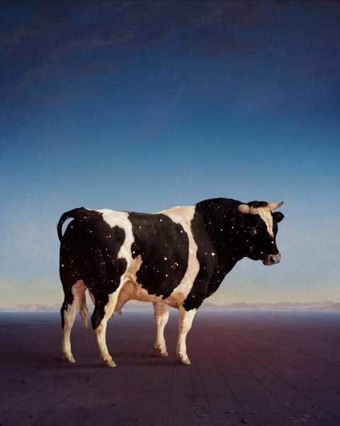 Thumbnail of The Present — mendezmendez