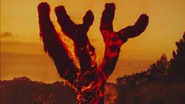 Thumbnail of On Fire | Atmos