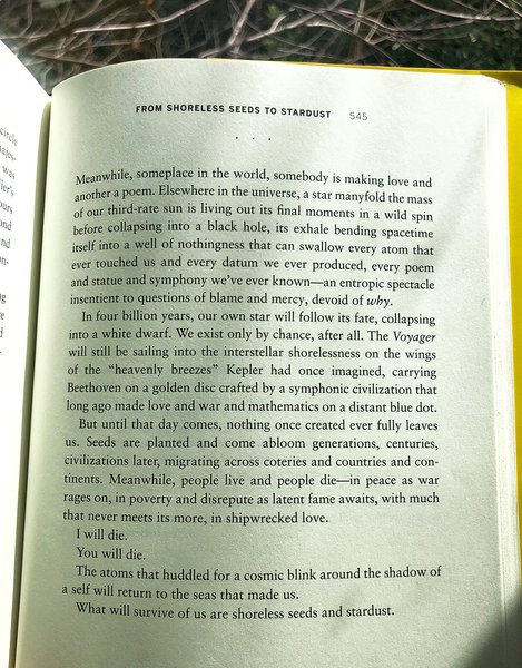 Thumbnail of Figuring Forward in an Uncertain World