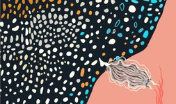 Thumbnail of From orbit to intimacy: Beyond the overview effect