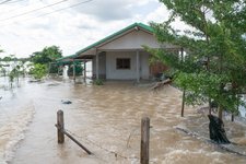 Thumbnail of Project 2025 Aims to End the National Flood Insurance Program | Insurify