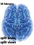 Thumbnail of SPLIT BRAIN, SPLIT VIEWS – DEBATING IAIN MCGILCHRIST