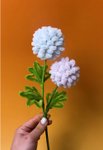 Thumbnail of delia_kicks on TikTok