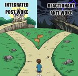 Thumbnail of Towards A Post-Woke Synthesis