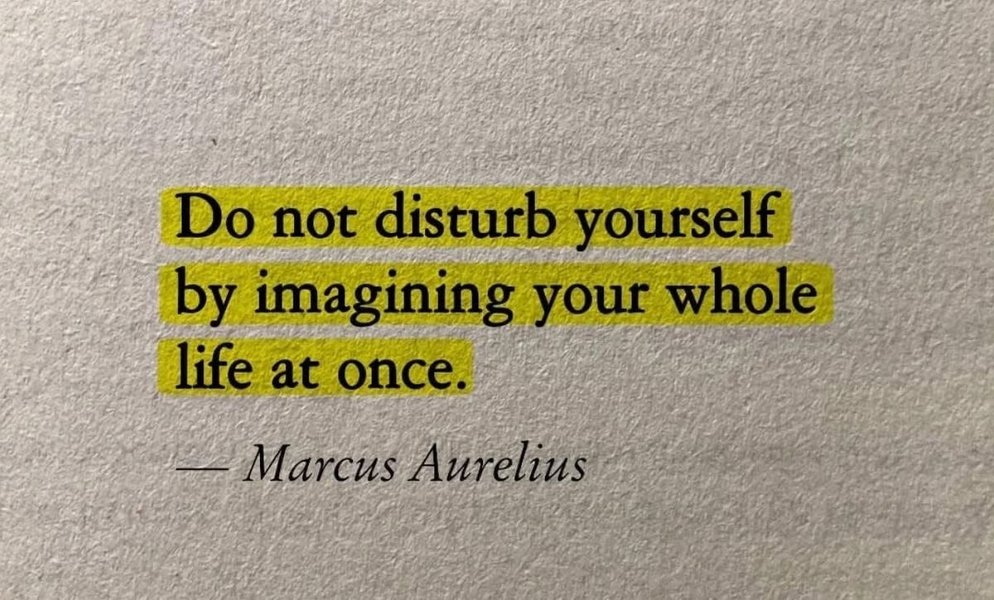 Preview of 0389-jpeg