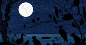 Thumbnail of The Blue Hour: A Stunning Illustrated Celebration of Nature’s Rarest Color