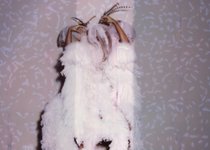 Thumbnail of In Defense of Thinking Small