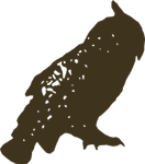 Thumbnail of Bosbeweging – Survival cursussen en workshops