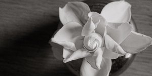 Thumbnail of The Friend Who Keeps on Giving