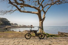 Thumbnail of Electric Bike, Stupid Love of My Life