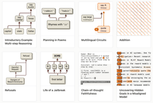 Thumbnail of On the Biology of a Large Language Model