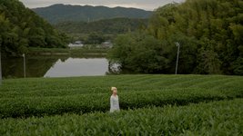 Thumbnail of The World Wants Matcha. Japan's Farms Can't Keep Up. | Atmos