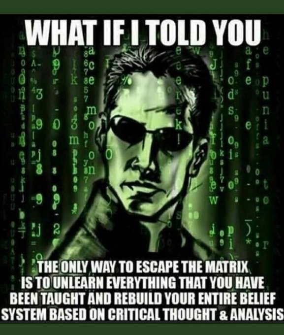 Thumbnail of httpstwittercomelonmuskstatus1608828315581976576